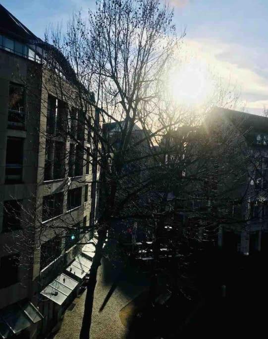 Charmantes 1Zi Apartment Im Herzen Von Braunschweig Mit Balkon Exteriér fotografie